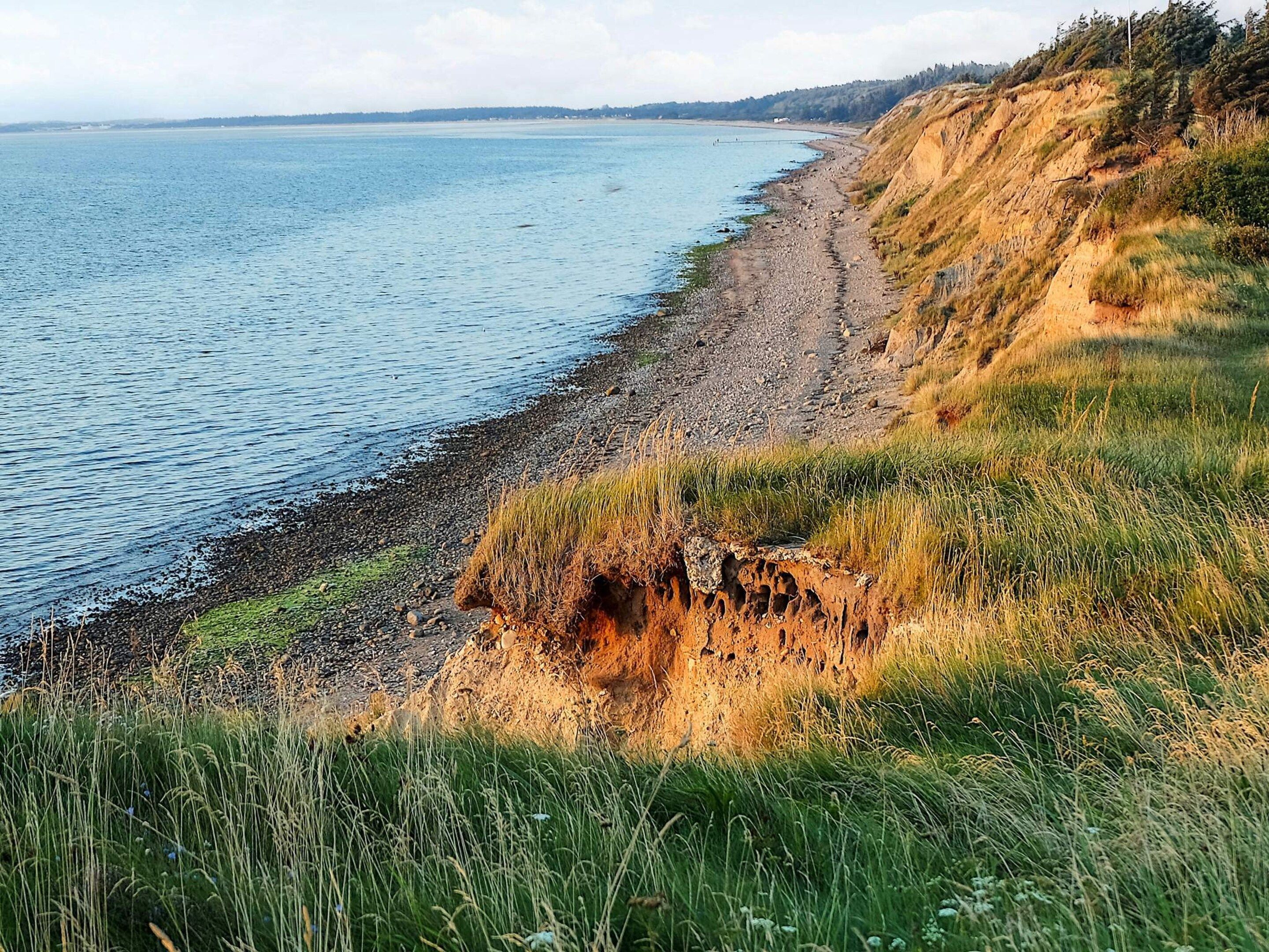 A coastal landscape with a rocky shoreline and grassy areas.