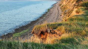 A coastal landscape with a rocky shoreline and grassy areas.
