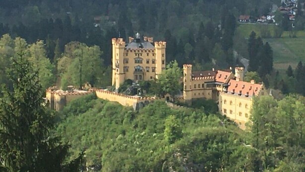 Un castillo con una torre destacada, rodeado de un bosque frondoso y edificios más pequeños al fondo.