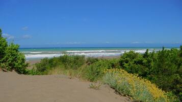 House | View from property