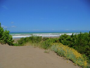 House | View from property