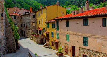 Villa in Sassetta With Private Botanical Garden