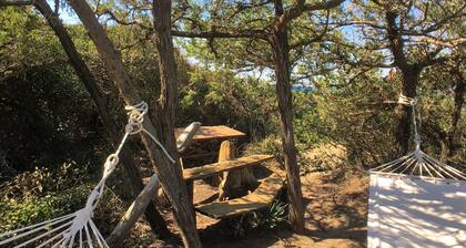 Villa in Sassetta With Private Botanical Garden