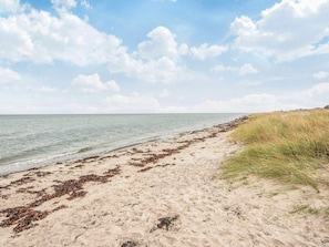 A beach with sand, seaweed, and grass.