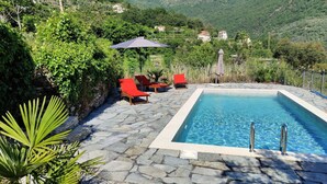Ein Pool mit Steinplatten, umgeben von roten Liegestühlen und einer Palme.