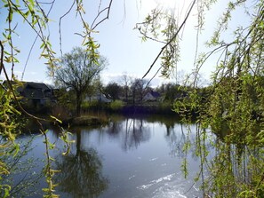 A calm river with reflections of trees and houses in the background. - Houseboat Comfortable Vacation Home (Grossenbrode)