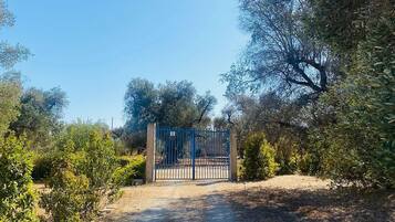 Ferienhaus | Außenbereich