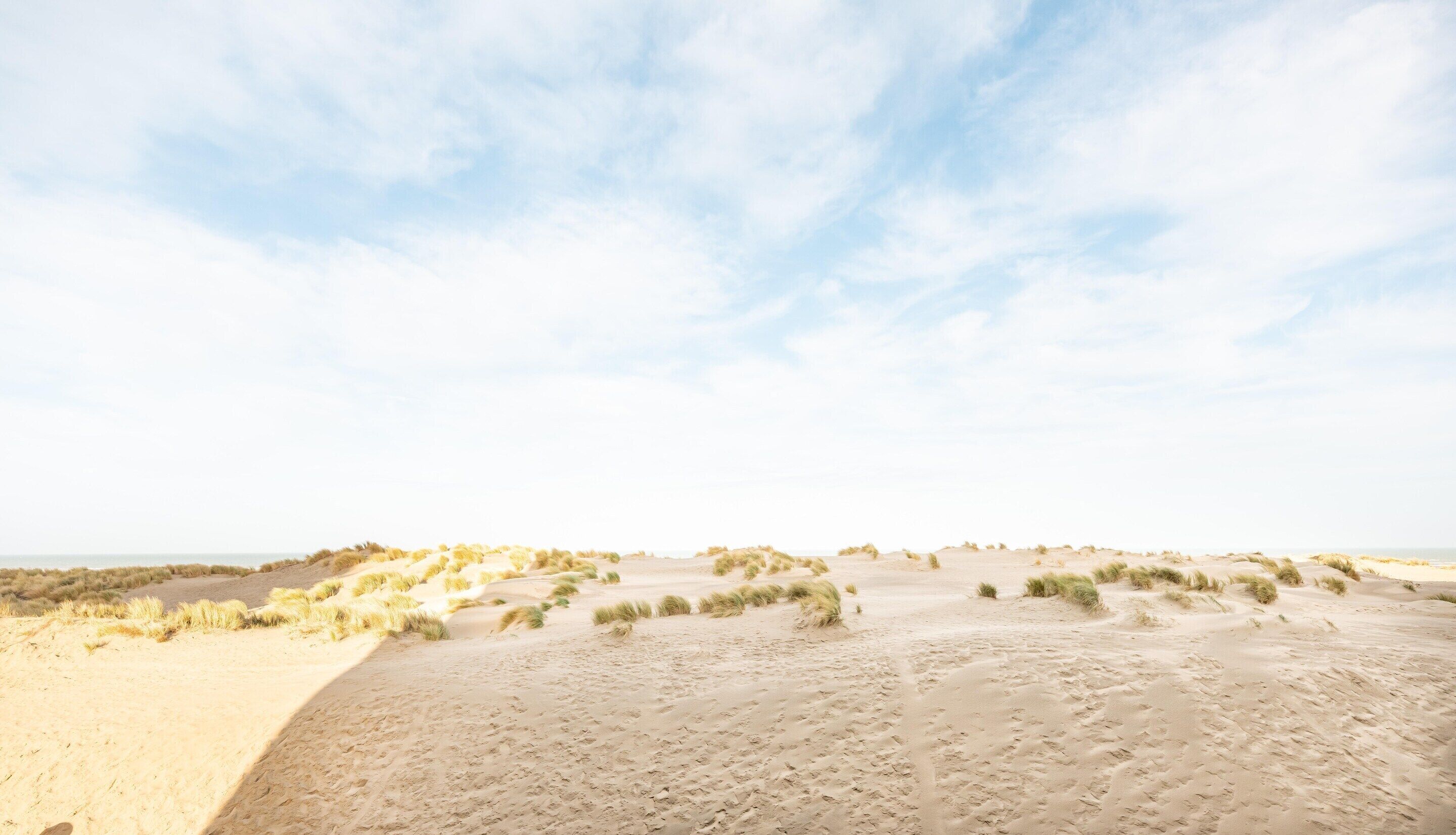 Un paysage désertique avec des dunes de sable et une végétation clairsemée.