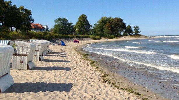 A beach with rows of white wicker lounge chairs and a sandy shoreline. - Holiday Apartment Sunny (Boltenhagen)