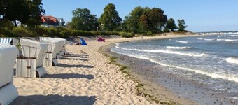 Holiday Apartment Sunny