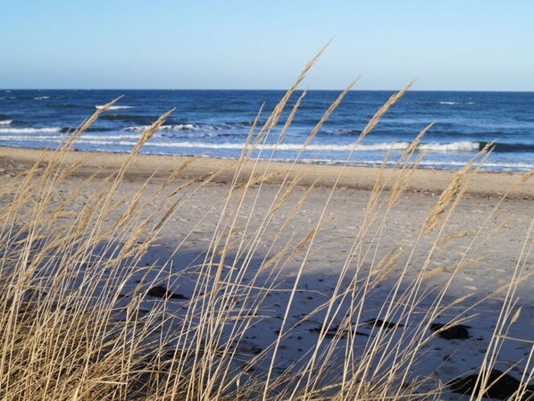 Beach - 2 Am Stadtwald Modern Retreat (Kuehlungsborn)