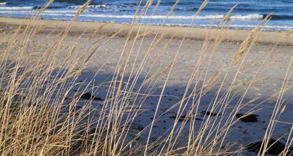 2 Am Stadtwald Modern Retreat