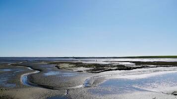 單棟房屋 | 浴室