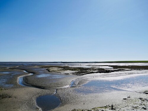 Grandpa Hans Modern Retreat