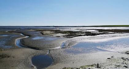 Grandpa Hans Modern Retreat