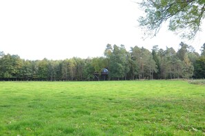 Vista desde la propiedad