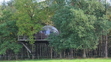 Tent | Interior detail