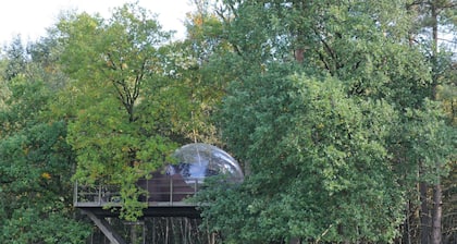 Tent Lodge With Terrace
