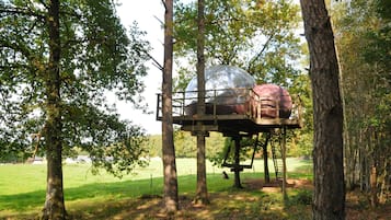 Tent | Exterior