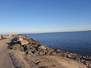 A rocky shoreline with a pier extending into calm waters.