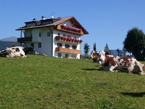 Exterior - Holiday Apartment Rosenheim (Rio di Pusteria)