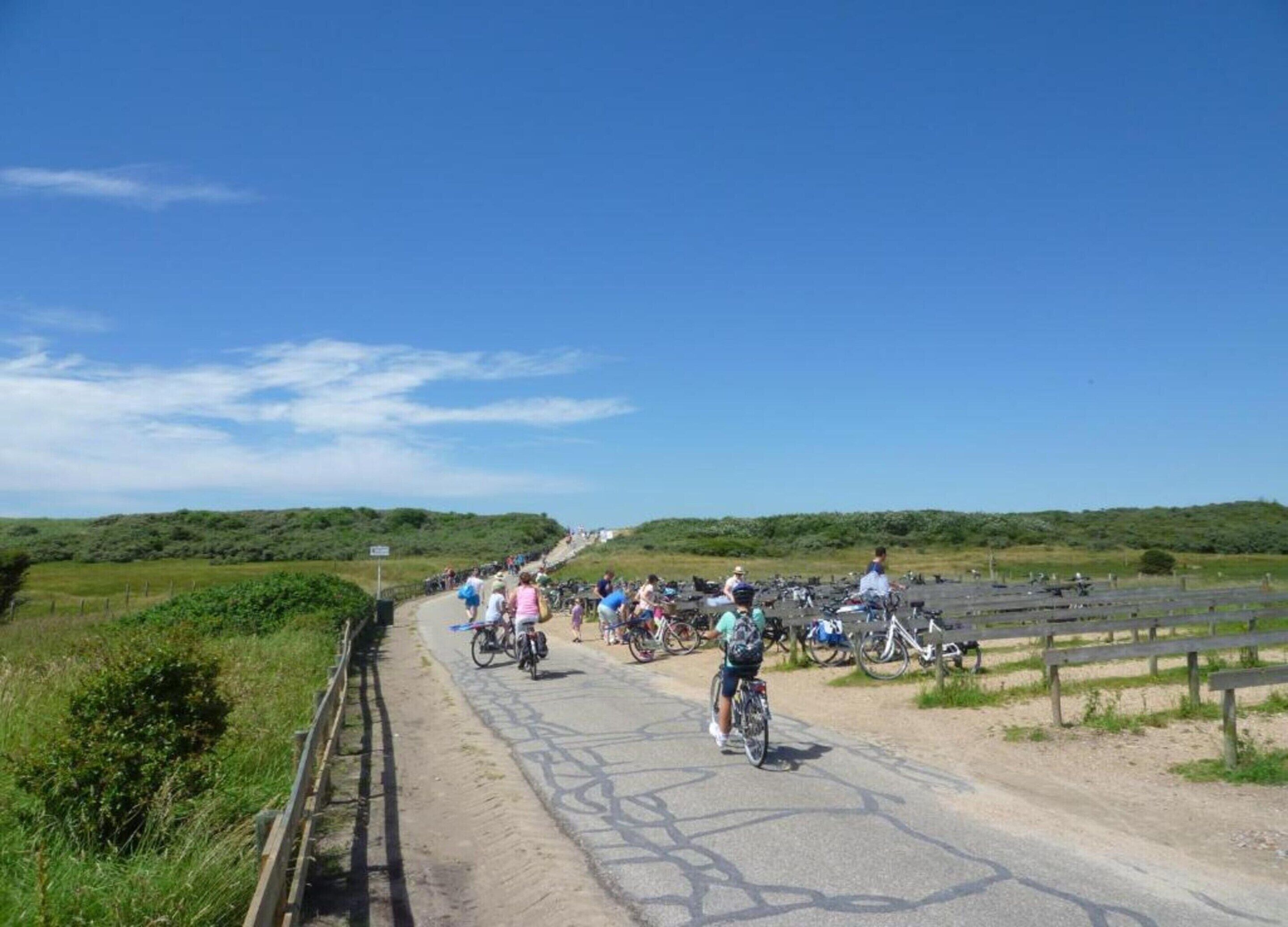 Un percorso lastricato con biciclette e pedoni, immerso nel verde e sotto un cielo sereno.