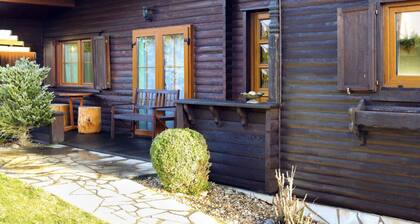 Holzhaus Junge in the Harz