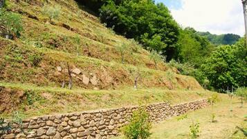 Cottage | Quang cảnh nhìn từ nơi lưu trú