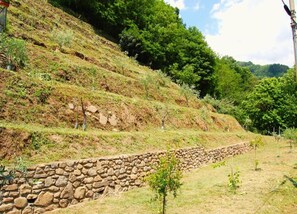 Casa de campo | Vista desde la propiedad