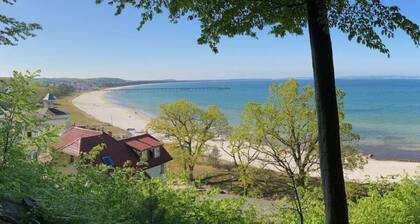 Lachmeeuw in de Villa Annabelle Binz