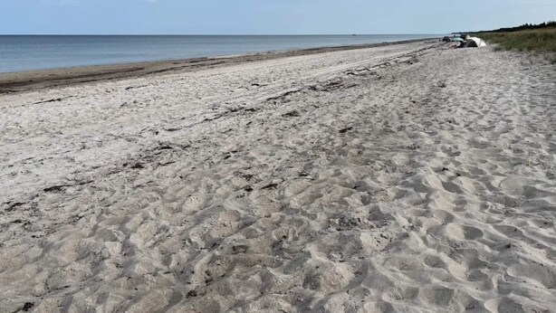 A sandy beach with a vehicle parked on the right side. - 4 Star Holiday Home in Vaeggerlose (Vaeggerlose)