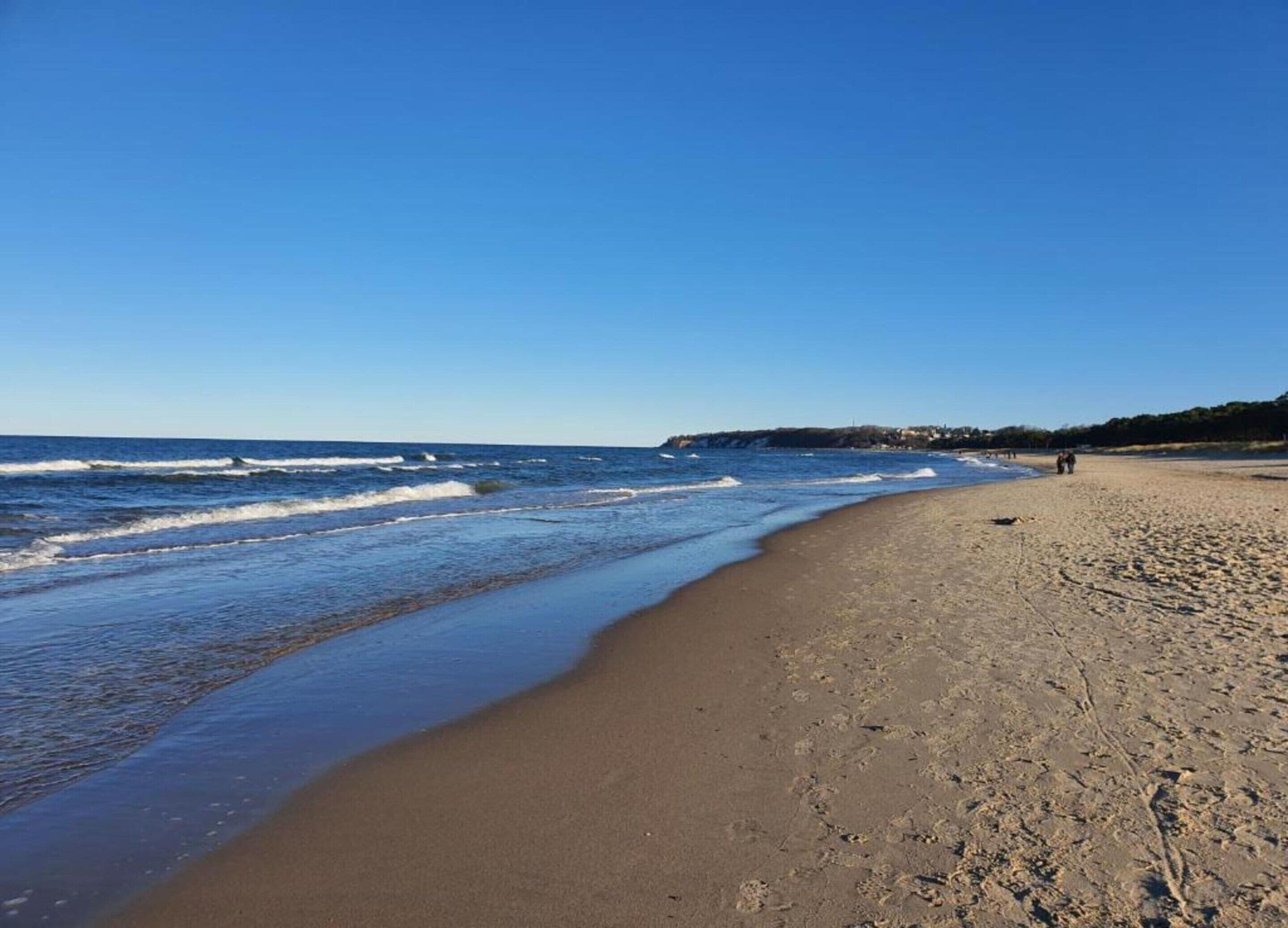 Bungalow | Blick von der Unterkunft