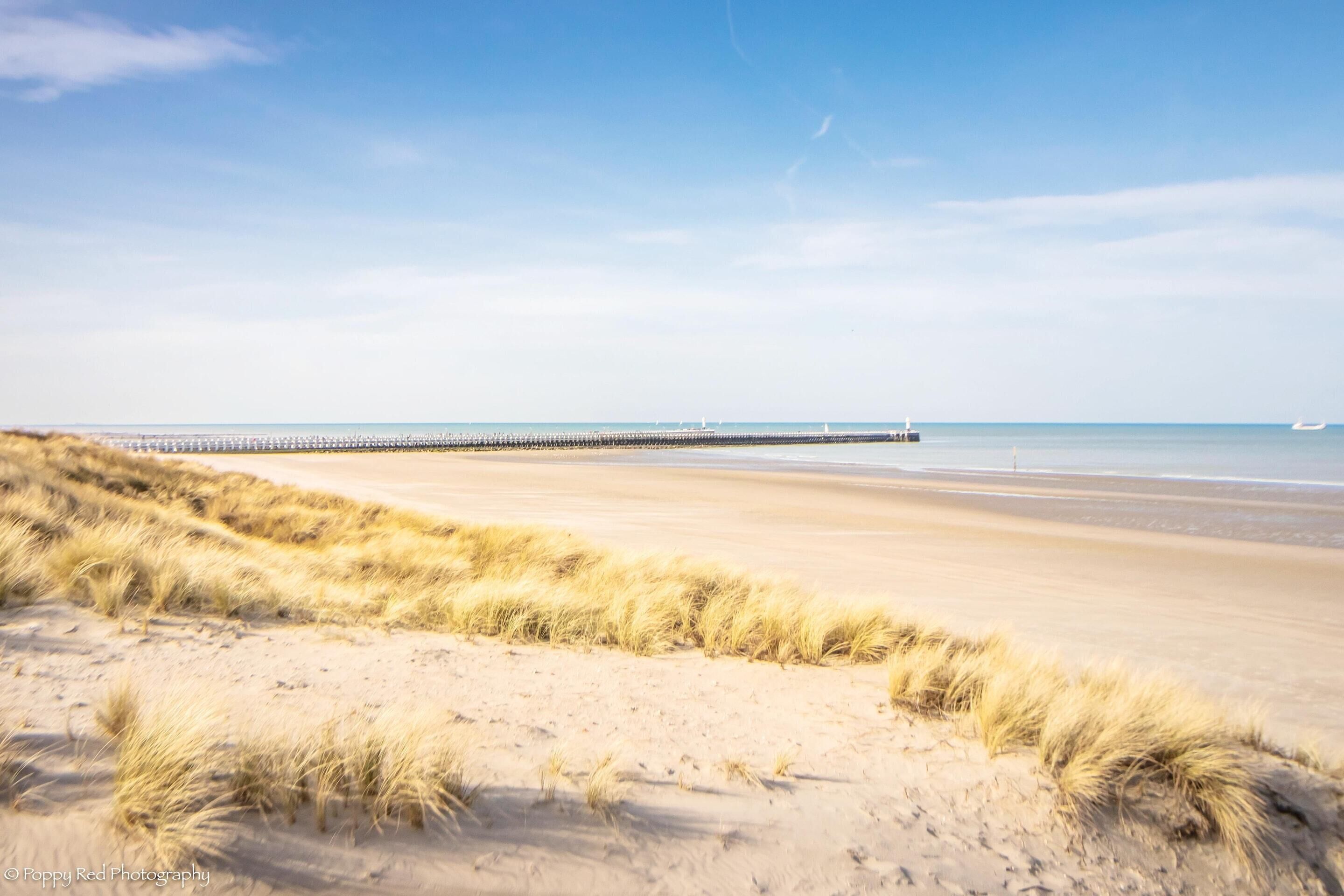 公寓 | 住宿景观