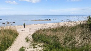 A beach path leading to the sea with a person walking.