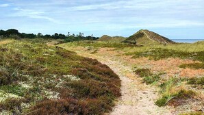 A natural landscape with a dirt path leading through grassy terrain towards a dune.