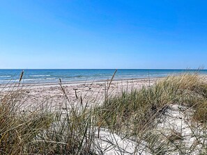 House | Beach