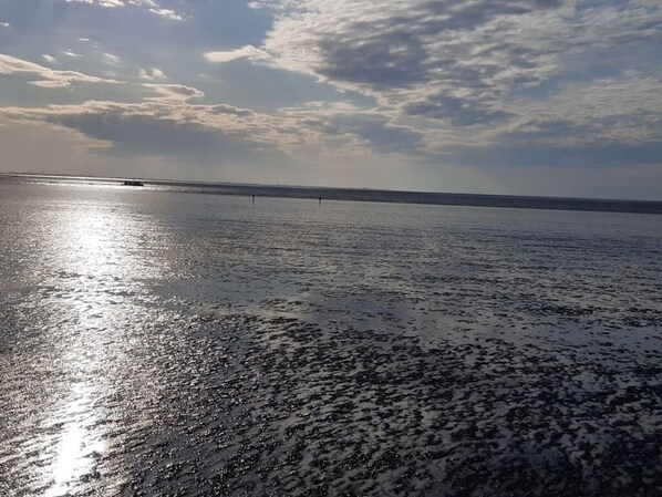 Spiaggia