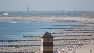 House | Pemandangan dari hartanah