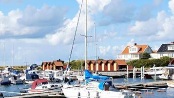 A marina with various boats docked, a row of houses in the background, and a clear sky.