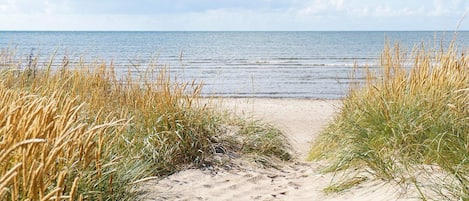 Maison | Plage