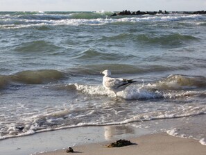 In Strandnähe