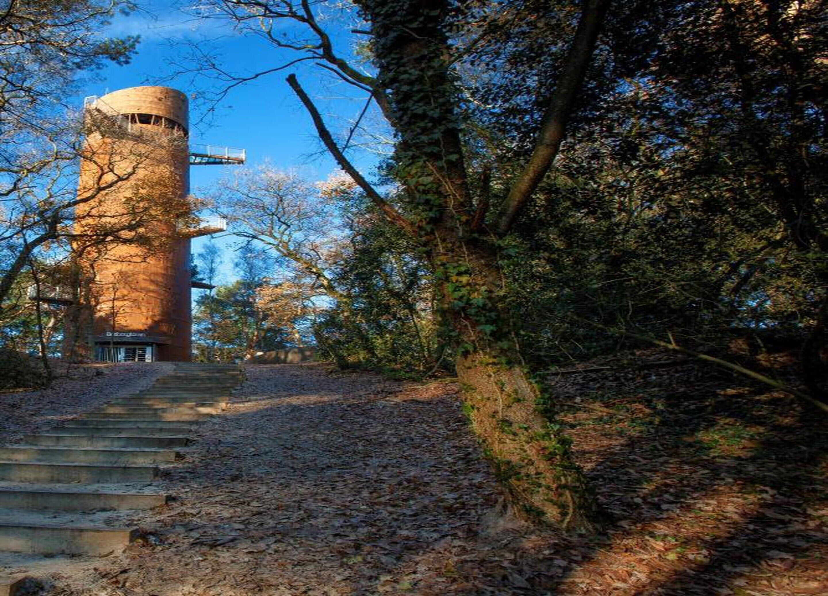 A tower structure with a staircase leading up to it, surrounded by trees and foliage.