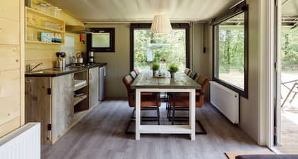 Beautiful Lodge in Appelscha With Terrace