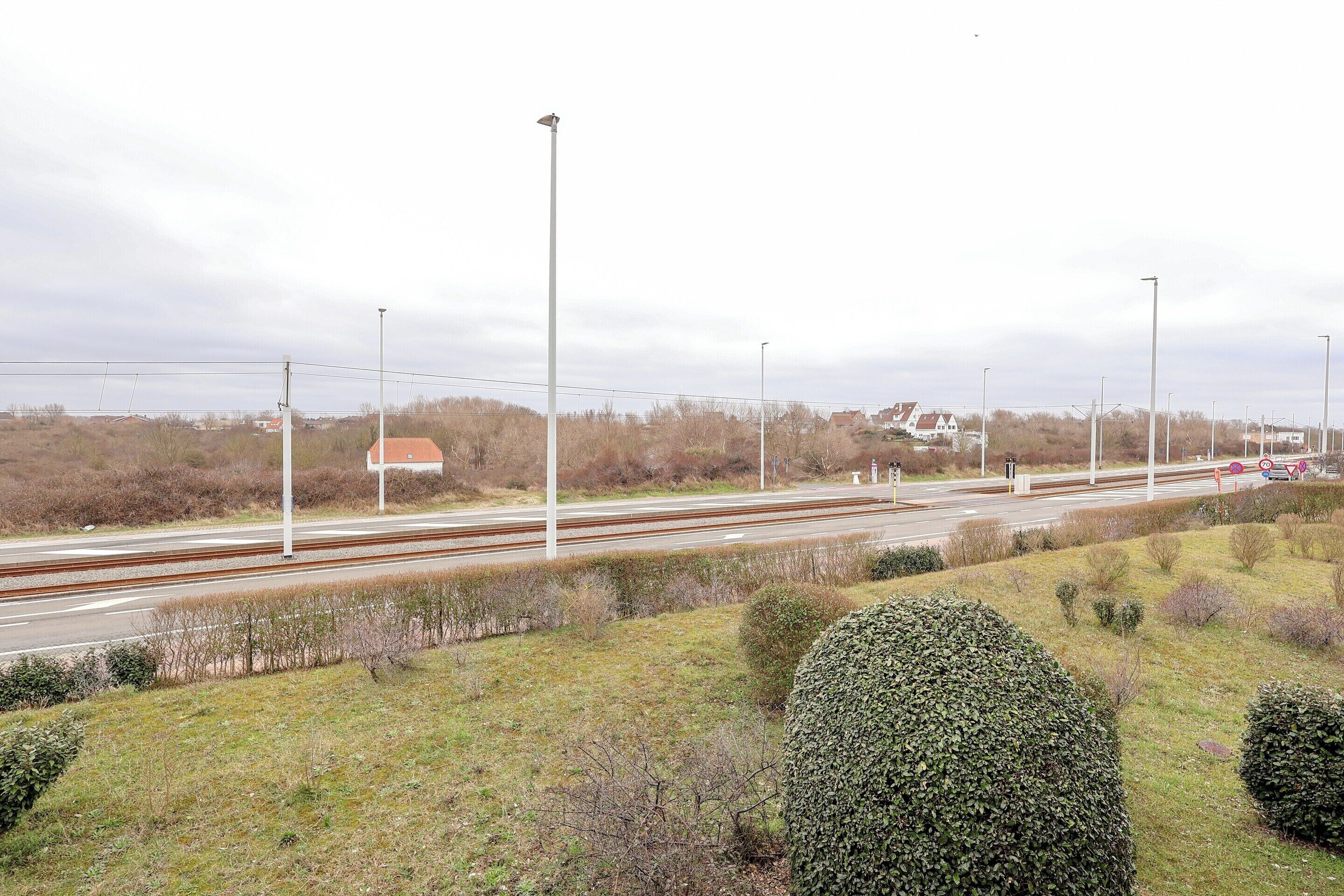 Un passage à niveau avec plusieurs voies, des lignes électriques aériennes et une zone herbeuse avec des buissons et un petit arbre.