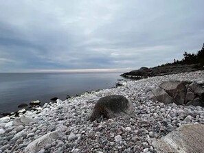 Casa | Vistas al agua