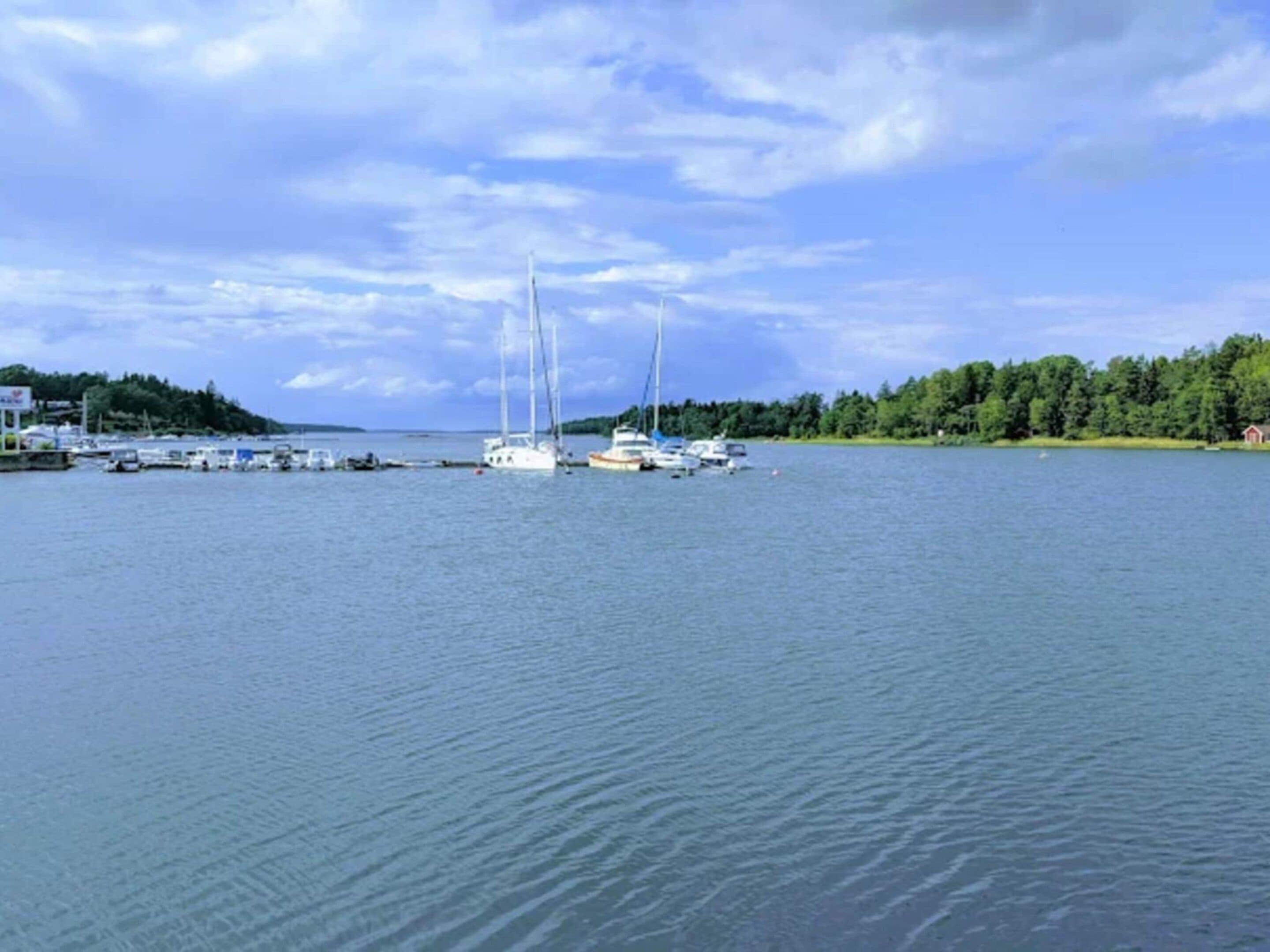 A marina with several sailboats docked, surrounded by a forested shoreline.