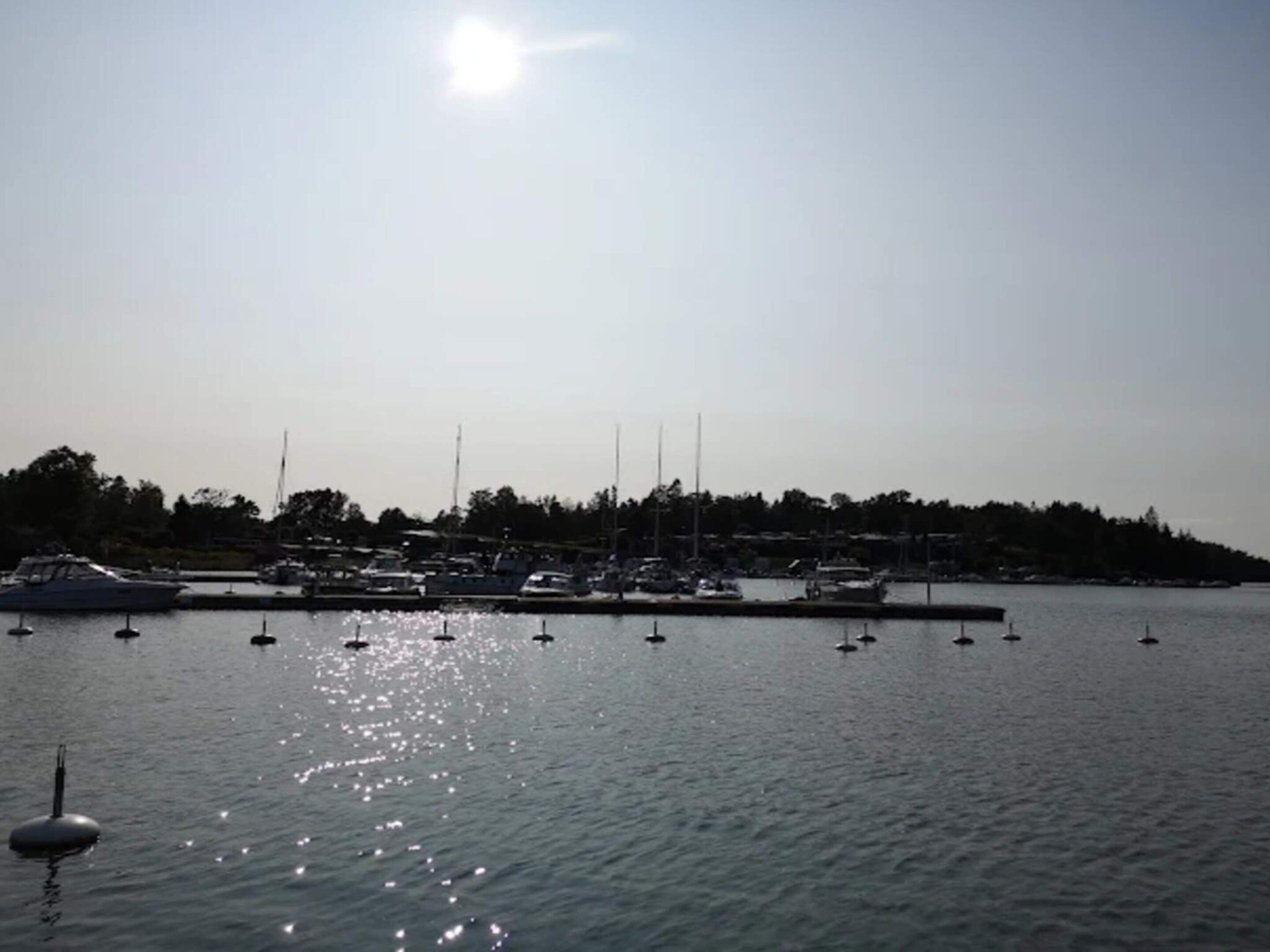 A marina with boats docked, calm water, and a distant shoreline with trees.