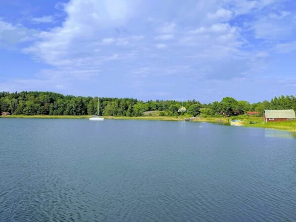 Um lago tranquilo com um veleiro, rodeado por floresta densa e alguns edifícios.