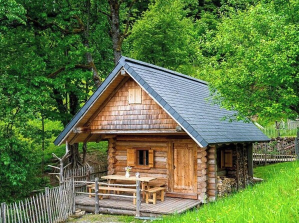 Exterior - Infanglalm "attersee" (Altmuenster)