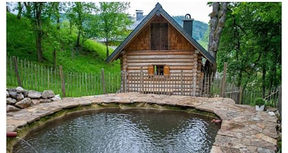 Infanglalm "attersee"